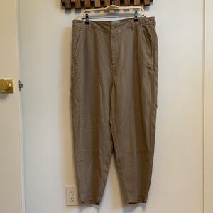 Everlane Tan Chinos